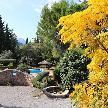 Tatil Evi Gato Den Vives